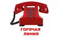 12 сентября Татьяна Марголина и Игорь Вагин будут принимать звонки с «горячей линии» по вопросам соблюдения избирательных прав граждан 