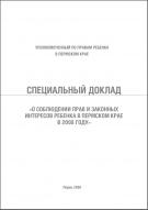 Первый специальный доклад Уполномоченного по правам ребенка в Пермском крае Павла Владимировича Микова